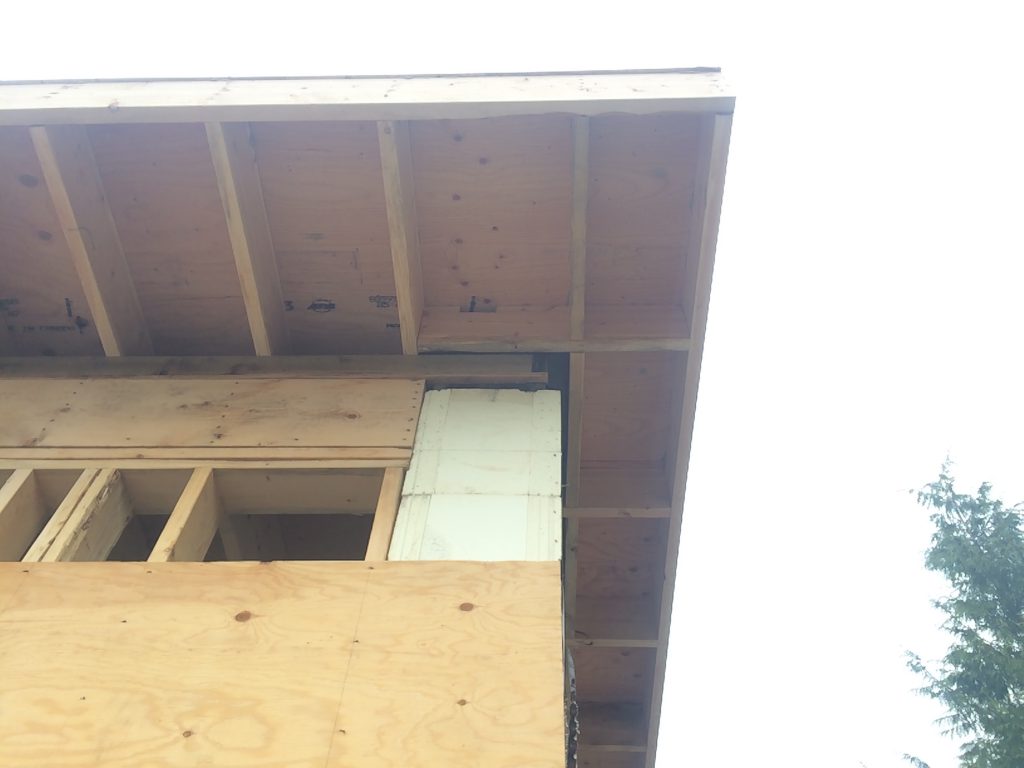 plywood and overhangs on roof